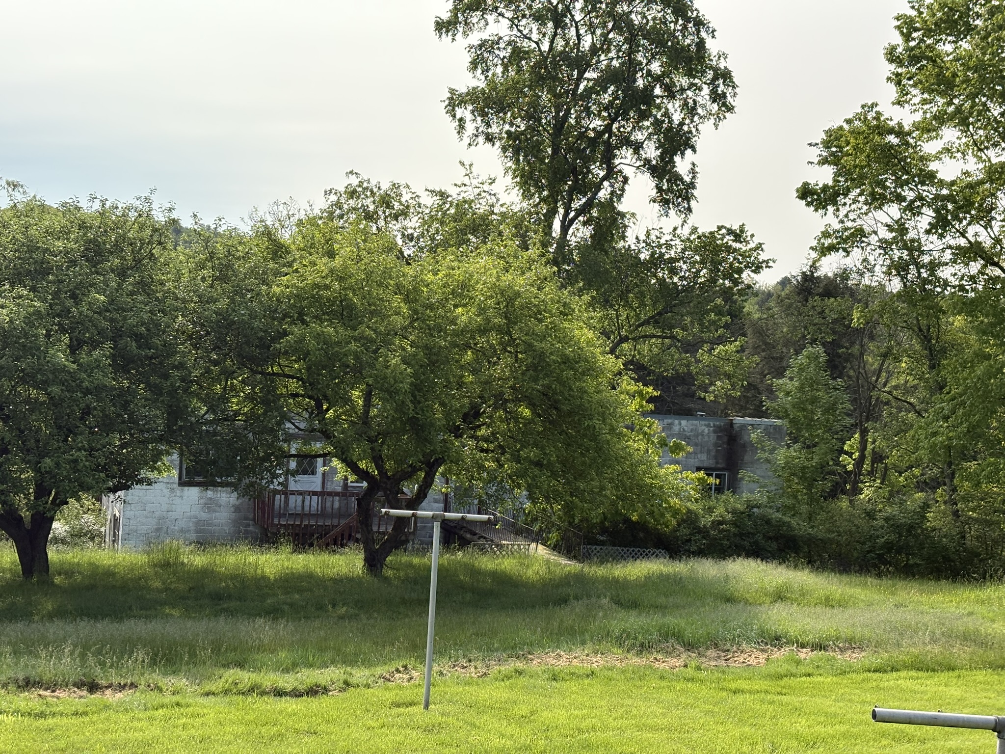 IMG_3725 IMG_3725