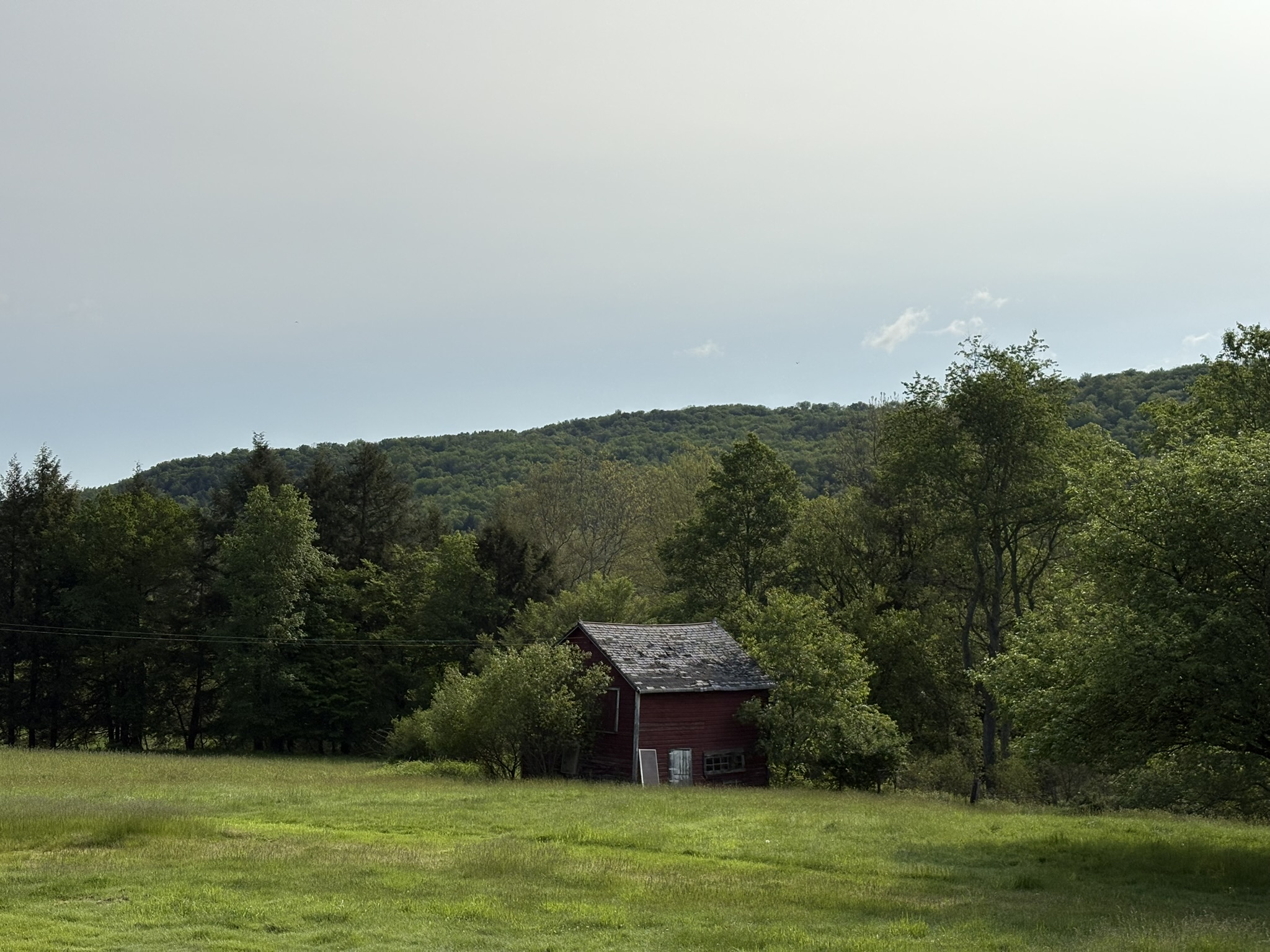 IMG_3726 IMG_3726