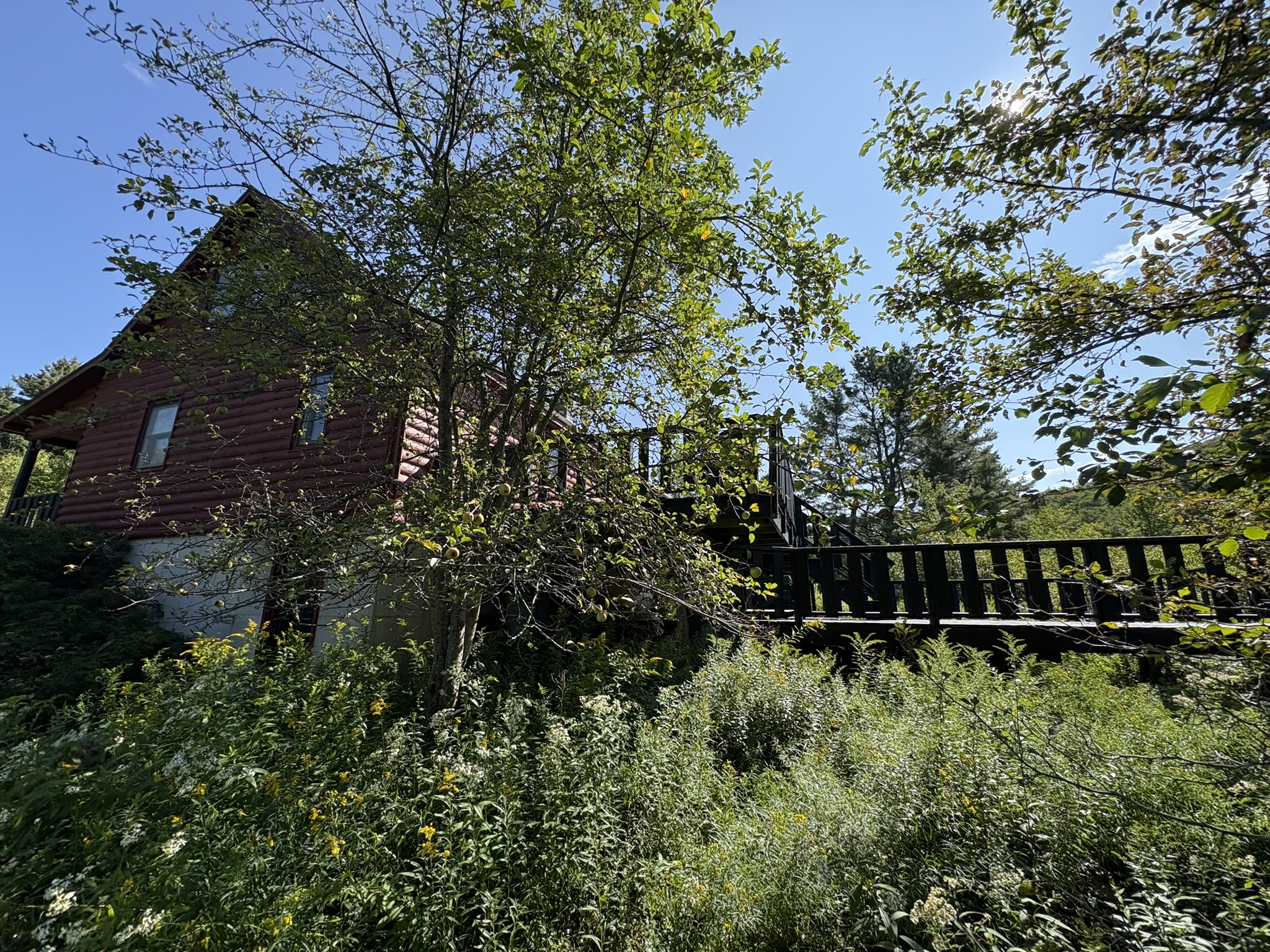 IMG_2522